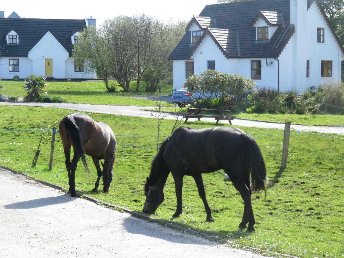 Letterfrack Farm Cottage In Village On A Farm Beside Connemara National Park Extérieur photo
